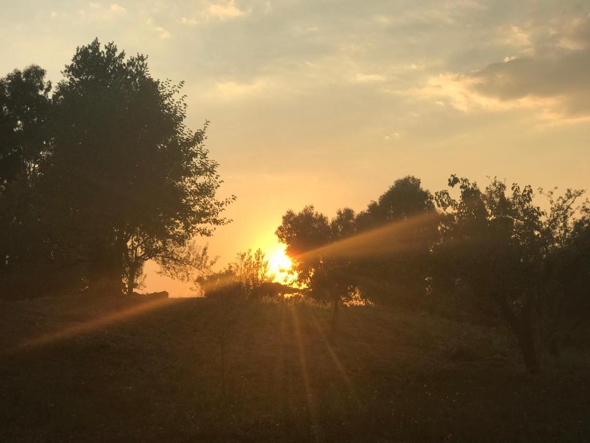 La Villetta Dei Sogni Nel Parco 로마 외부 사진